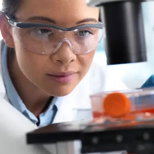 Zellkultur unter-Mikroskop-Stammzellklinik-regenerative-Medizin- Mexiko