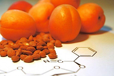 Therapie-Innovationen: Aprikpsenkerne gegen Krebs. AMYGDALINA (LAETRIL) B17