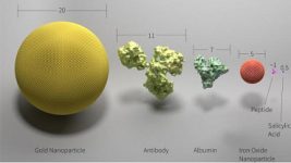 Nanocarrier Immuntherapie: Gold Nanoparticle als Nanocarrier.