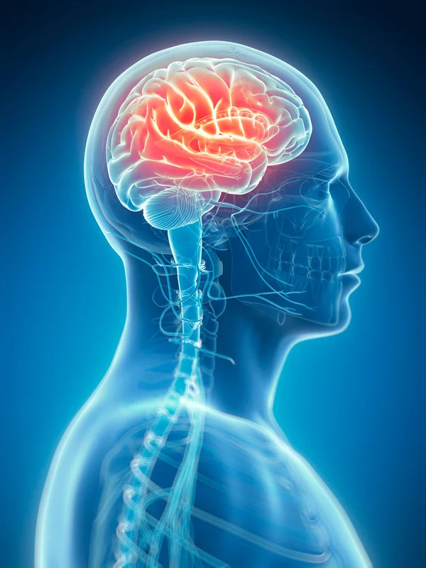 Neurotherapy Neurotherapy